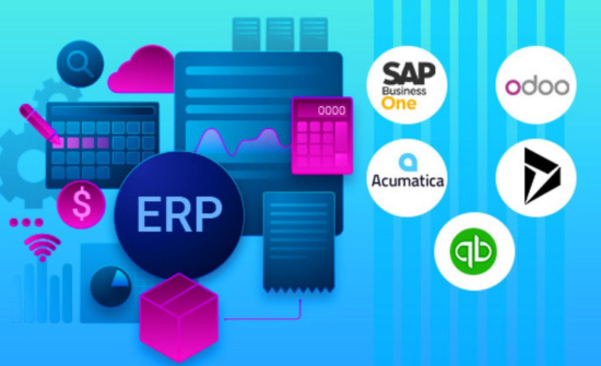 Best Erp For Small Business